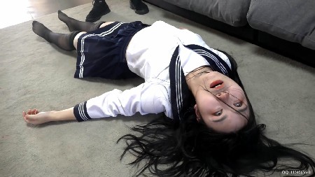 灰鸟原创 私人定制1报仇