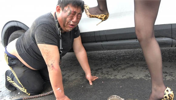 猪奴雨天的生日