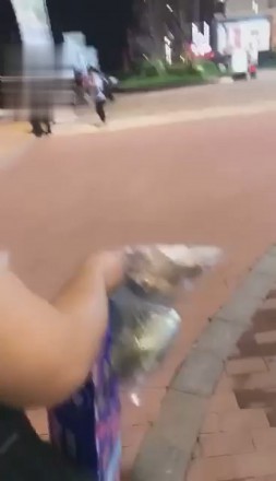 冷柔户外调