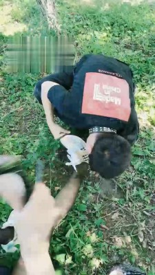 【梦蝶女王】户外抓住狂 bf17570