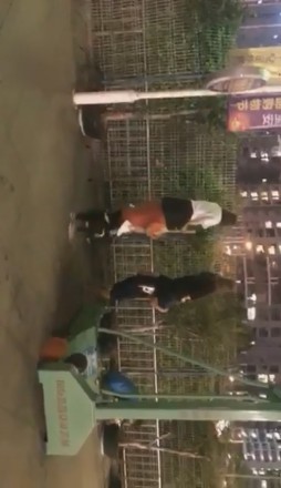 三女主操场调教