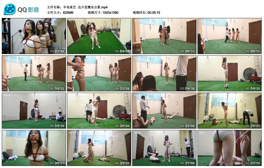 【半岛束艺】这只老鹰有点累_HD绳艺资源